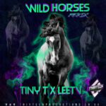 Susan Boyle Wild Horses Remix by TinyT & LeeTV